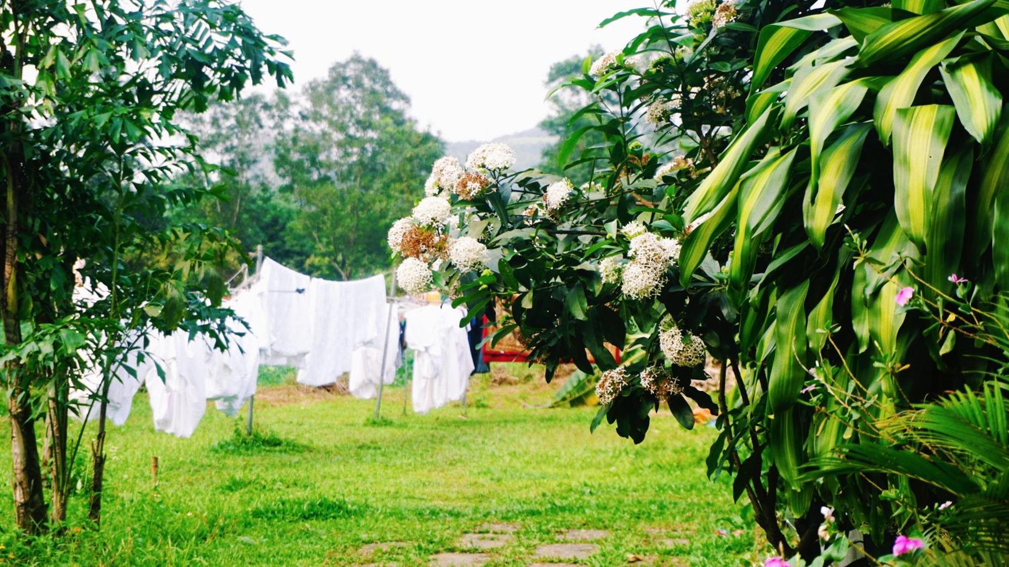 Phong Nha Eco Village Bagian luar foto