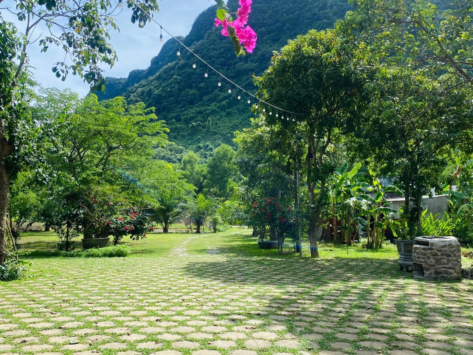 Phong Nha Eco Village Bagian luar foto