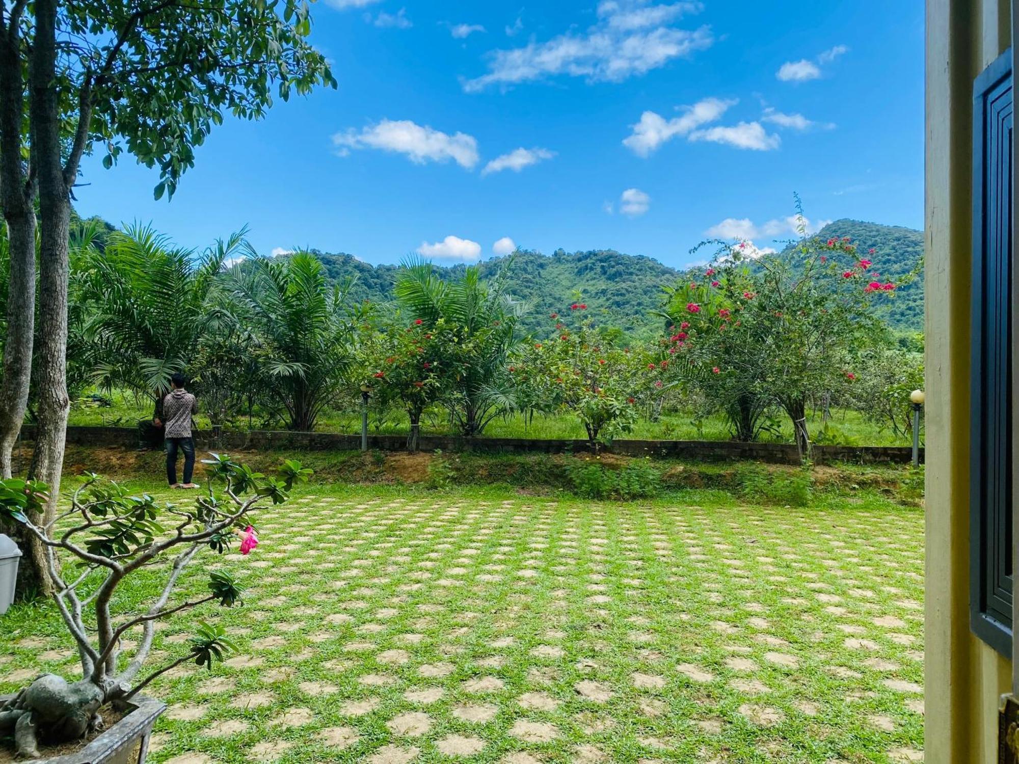 Phong Nha Eco Village Bagian luar foto