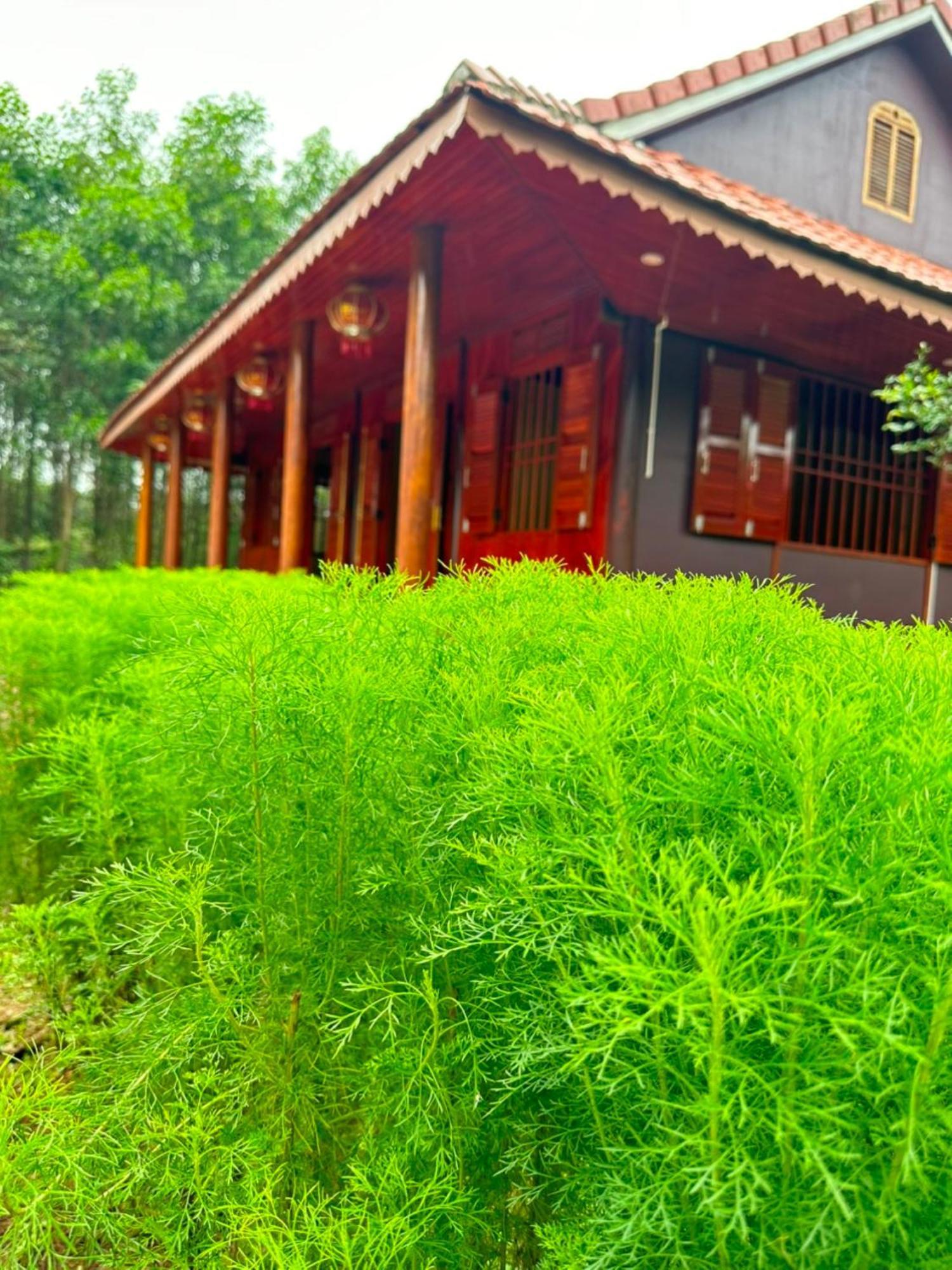 Phong Nha Eco Village Bagian luar foto
