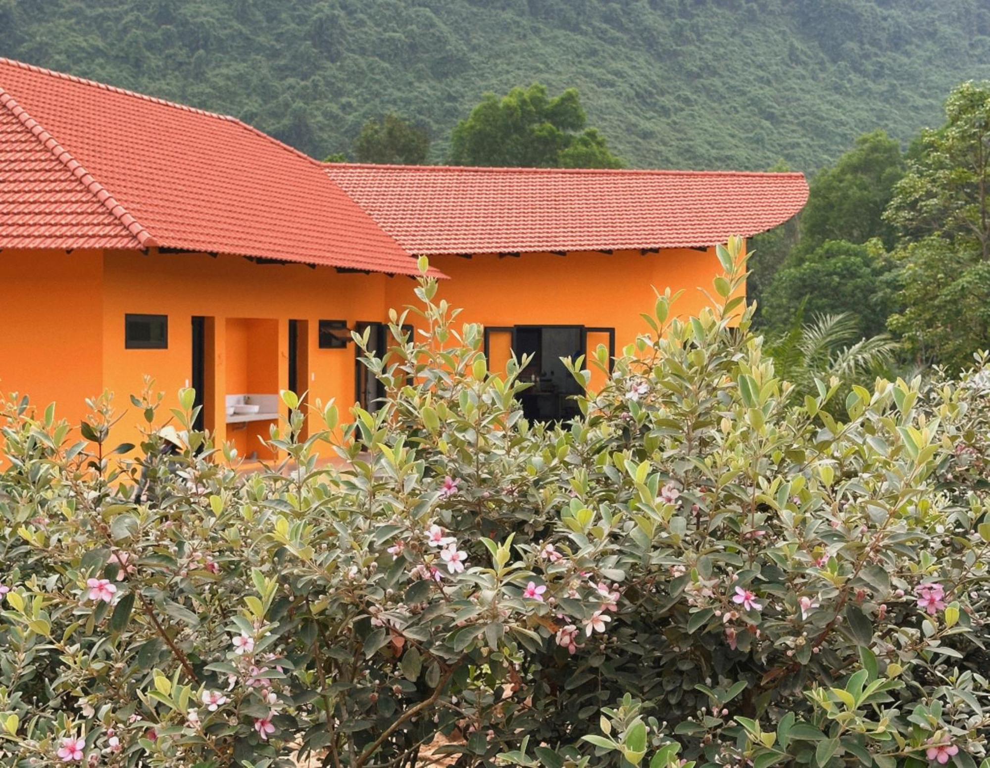 Phong Nha Eco Village Bagian luar foto