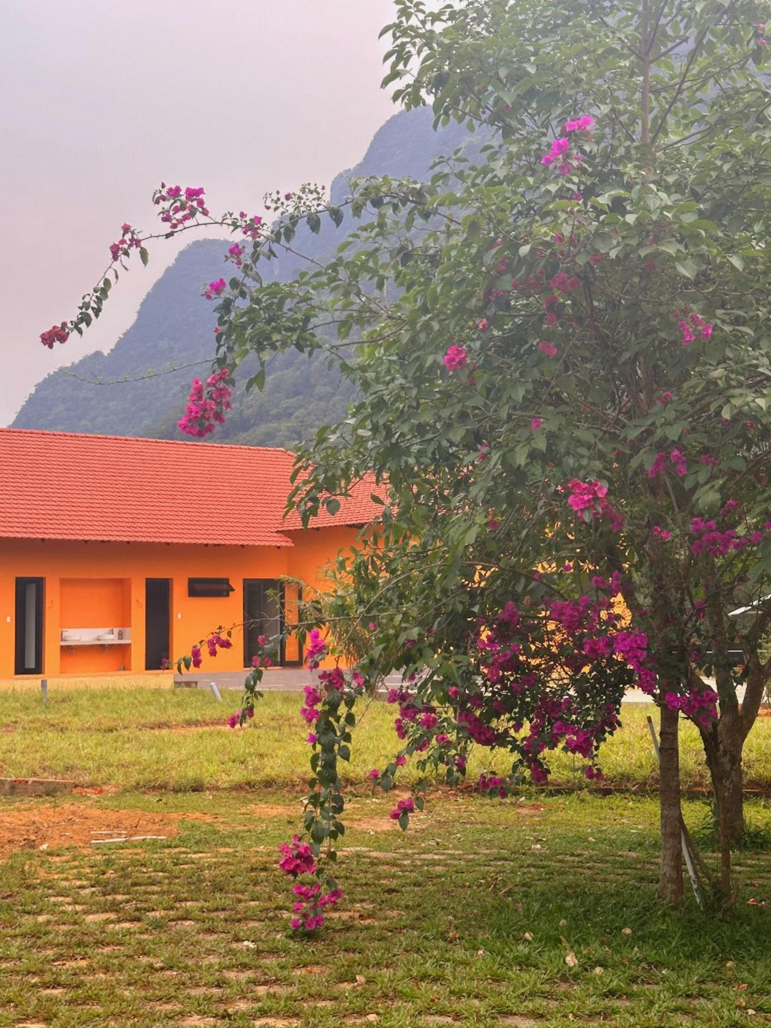 Phong Nha Eco Village Bagian luar foto