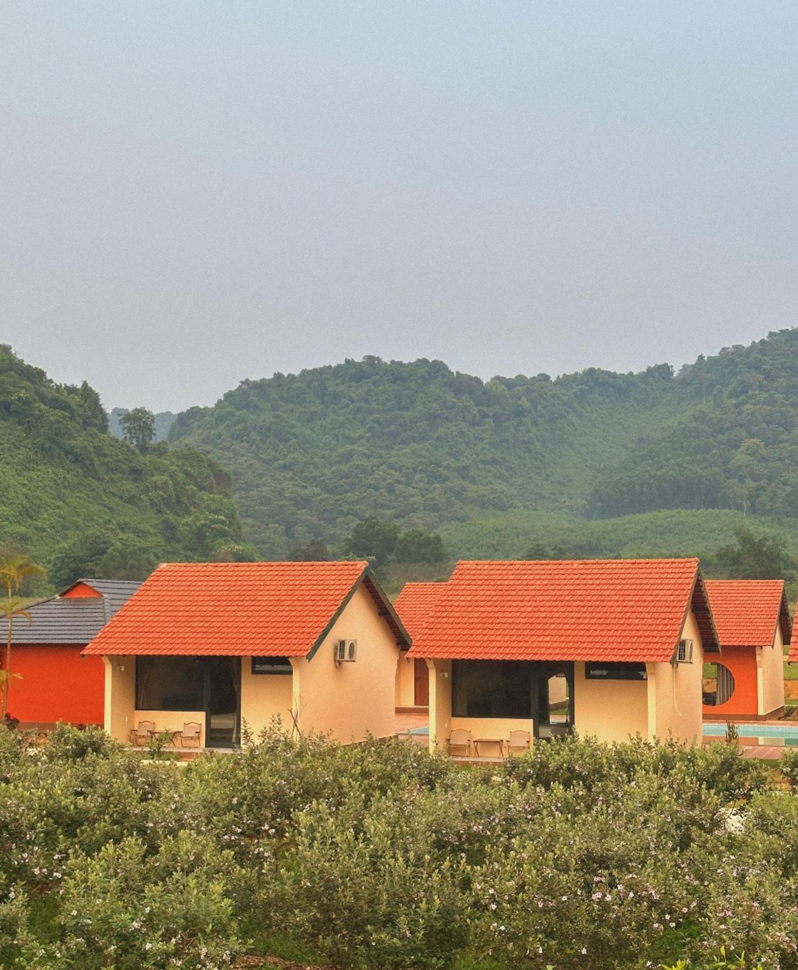 Phong Nha Eco Village Bagian luar foto