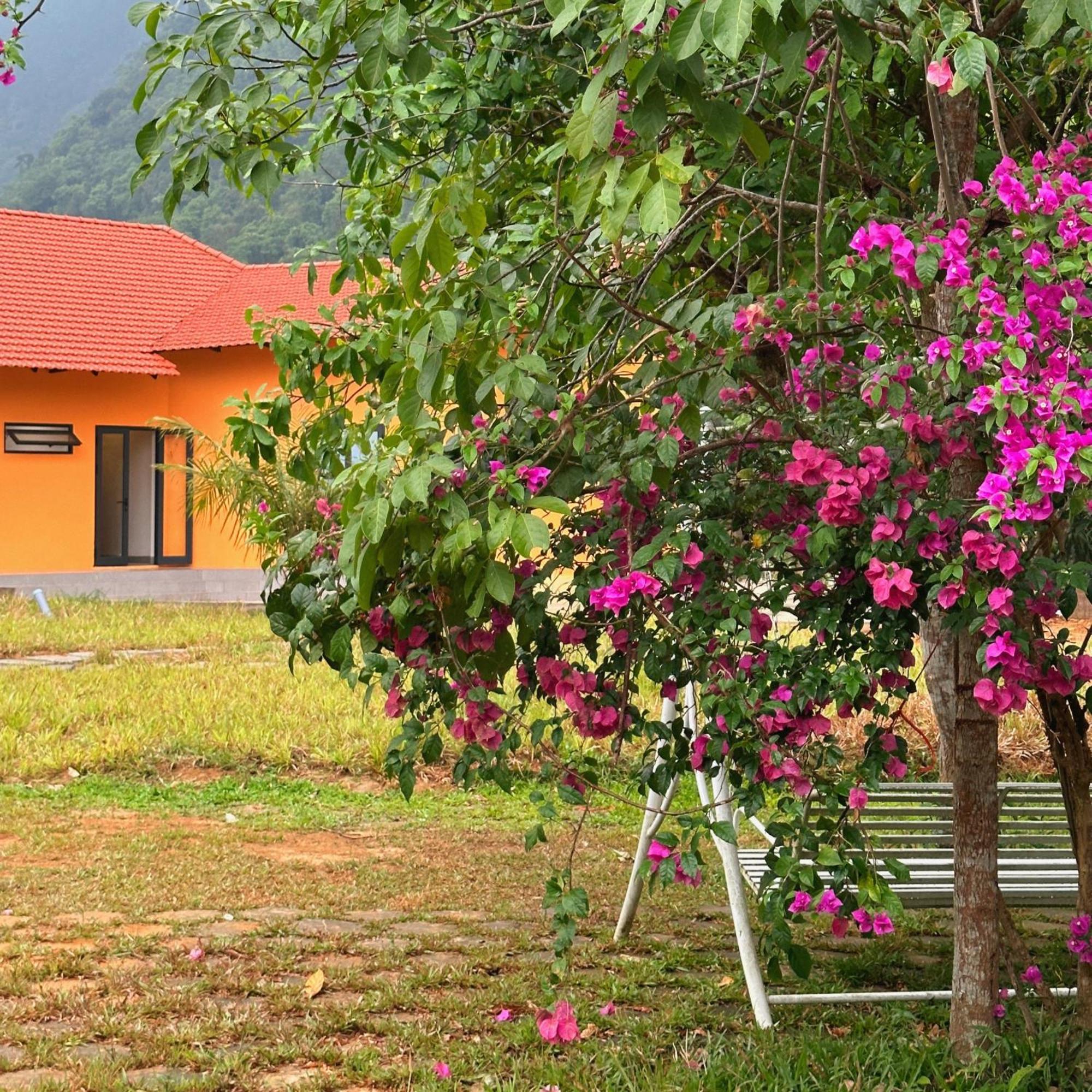 Phong Nha Eco Village Bagian luar foto